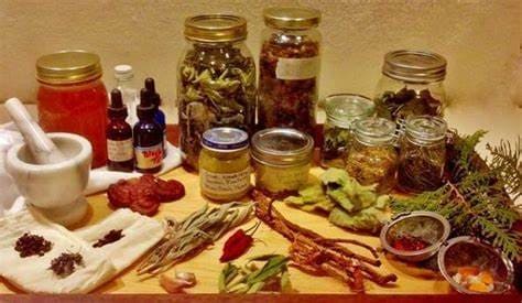 Natural remedies for parasite cleansing in pets